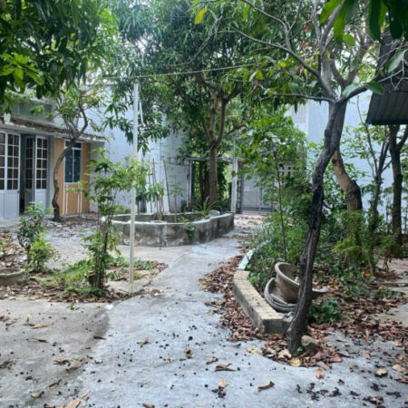 Bán đất tặng 10 phòng trọ có sẵn thu nhập tốt _ cơ hội vàng đầu tư – 3 mặt tiền hẻm dt 522m2 Vĩnh