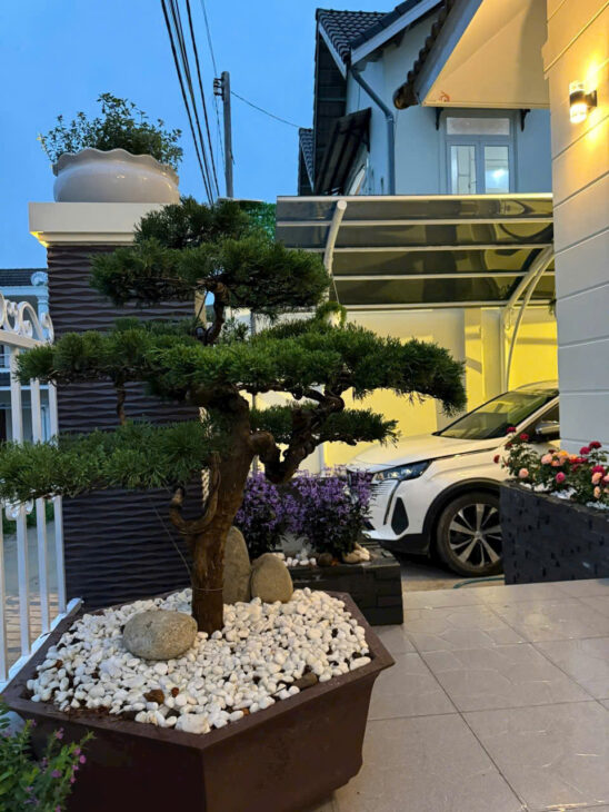 Căn bán Villa Đà Lạt – Giá Tốt Để Đầu Tư – 200m2 – 8 tỷ 8