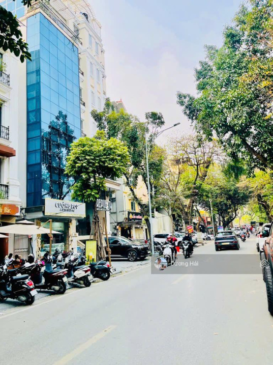 Bán nhà Mặt Phố Cát Linh – Đống Đa – S 120m MT 10m – Vỉa Hè Kinh doanh – Xây Tòa nhà đẹp