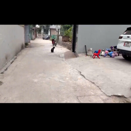 GIẢM SỐC-BÁN LÔ ĐẤT XÃ ĐỒNG THÁP, ĐAN PHƯỢNG-77.8M-GIÁ 3.65 TỶ