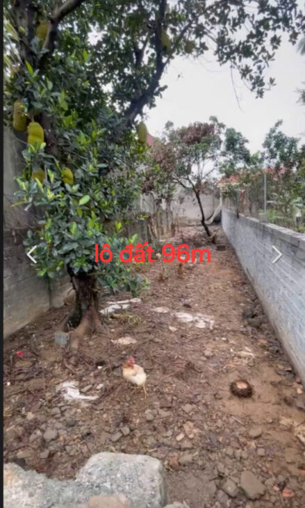 SÔC-BÁN LÔ ĐẤT ĐẸP XÃ HOÀNG VĂN THỤ, CHƯƠNG MỸ-96M-GIÁ 1.82 TỶ