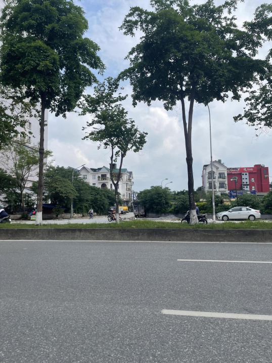 Chính chủ bán lô đất biệt thự Đền Lừ 3, 112m, mặt tiền 8m, 250triệu/m, cạnh LOUIS city HOÀNG MAI