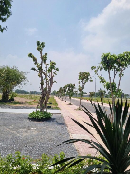 📍 ĐẤT NỀN TRUNG TÂM ĐỨC HOÀ – GIÁ TỐT NHẤT KHU VỰC