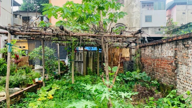 Hà Nội – Đất Cán Khê – Nguyên Khê – Đông Anh 70m 4,65 tỷ MT 5m