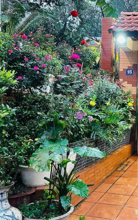 CHỈ 296 TRIỆU M MẶT PHỐ ĐỒNG CỔ 83.5M MẶT TIỀN 5M KD ĐỈNH GIÁ 24.75 TỶ 0878168006