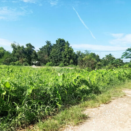 Bán đất 1/ đường 148 – 135m2 – 5×27 – 129m2 thổ cư – xã Bình Mỹ – Củ Chi Bán đất 1/ đường 148 – 135m2 – 5×27 – 129m2 thổ cư – xã Bình Mỹ – Củ Chi