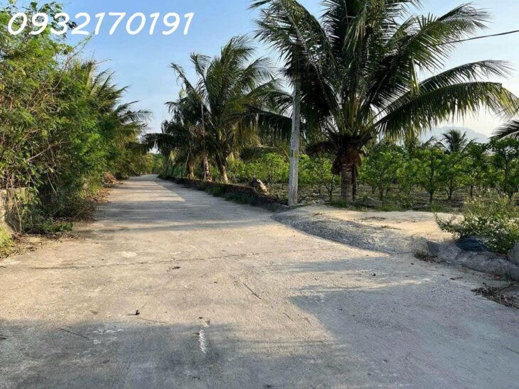 Bàn Cờ Cam Hiệp Nam- Đường lớn- Qh An giữ lại- Có thổ cư giá chỉ 1,5 tỷ- Lô đầu tư tốt