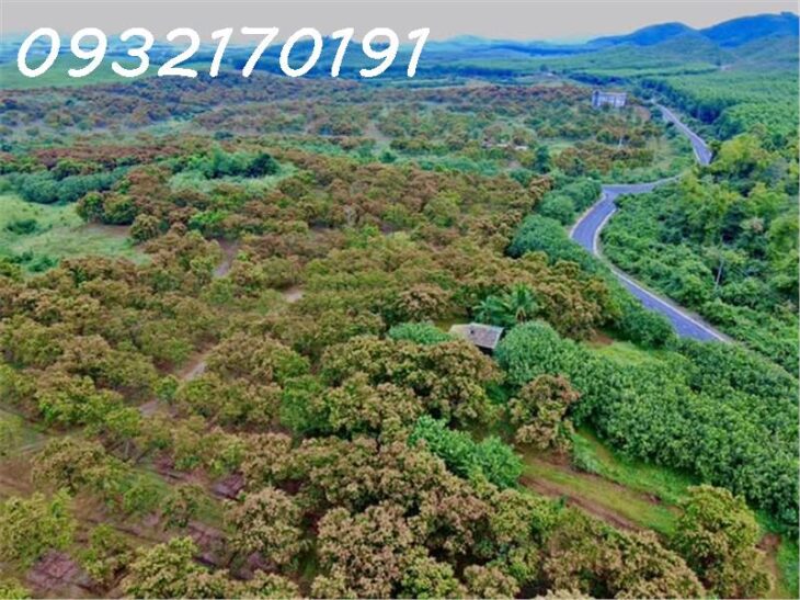 Bàn Cờ Cam Hiệp Nam- Đường lớn- Qh An giữ lại- Có thổ cư giá chỉ 1,5 tỷ- Lô đầu tư tốt