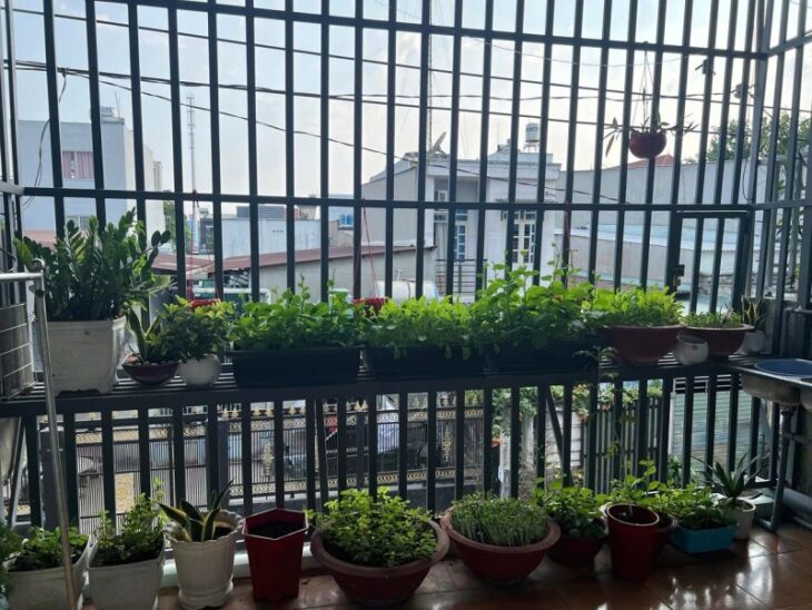 BÁN NHÀ KP THỐNG NHẤT DĨ AN BÌNH DƯƠNG