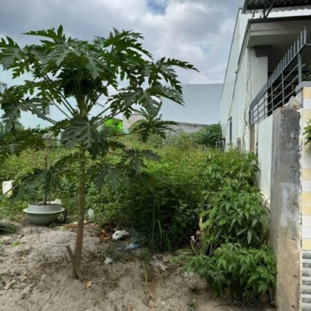 BÁN ĐẤT FULL THỔ CƯ, VĨNH THẠNH, NHA TRANG – GẦN TRỤC ĐƯỜNG D30 – GIÁ CHỈ 16,9 TRIỆU/M² ????