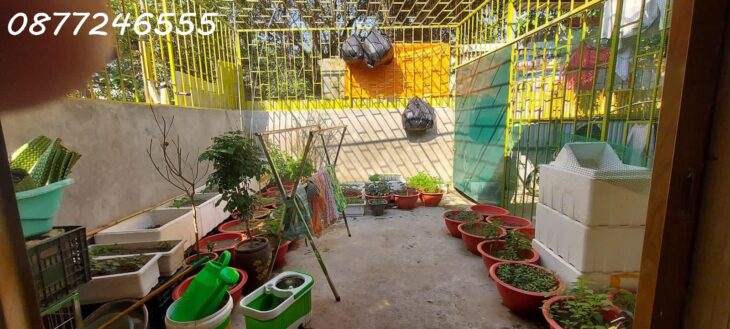 BÁN NHÀ RIÊNG CẤP 4 – NGÕ 1 ĐẠI LINH – GẦN PHỐ CƯƠNG KIÊN – CHỈ 3.1 TỶ