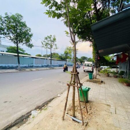 BÁN 2 LÔ ĐẤT MT 10M5 con đường NGUYỄN VĂN TẠO BẾN XE ĐÀ NẴNG ĐANG CÓ SẴN DOANH THU 10TR/THÁNG BÁN 2 LÔ ĐẤT MT 10M5 con đường NGUYỄN VĂN TẠO BẾN XE ĐÀ NẴNG ĐANG CÓ SẴN DOANH THU 10TR/THÁNG