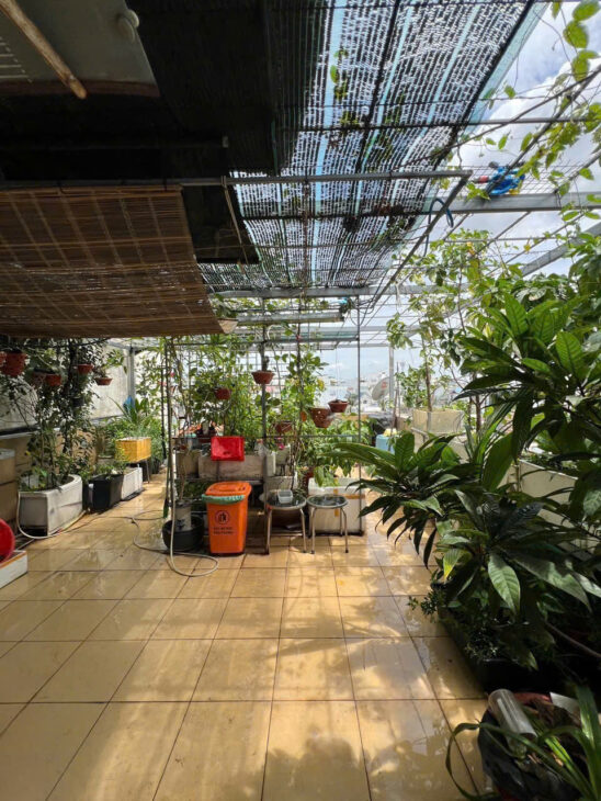 Bán GẤP MTKD ngang LẠ 6m 5 lầu 120m2 Nguyễn Phúc Chu vừa ở vừa KD gần chợ PVB 20 tỷ hơn.