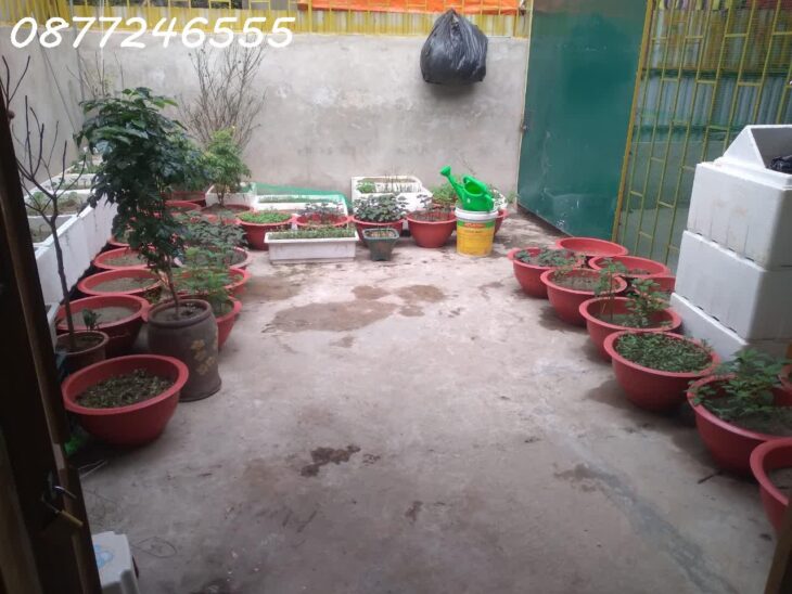 BÁN NHÀ RIÊNG CẤP 4 – NGÕ 1 ĐẠI LINH – GẦN PHỐ CƯƠNG KIÊN – CHỈ 3.1 TỶ