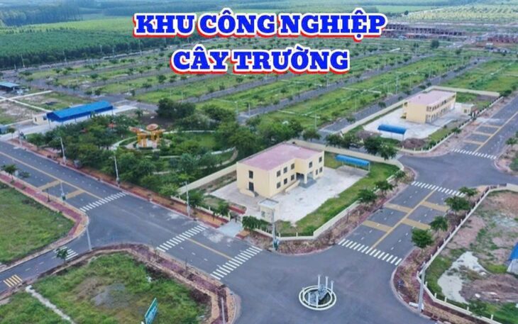 CƠ HỘI VÀNG: SỞ HỮU ĐẤT NỀN LIỀN KỀ KCN BÀU BÀNG MỞ RỘNG – GIÁ CHỈ TỪ 6XX TRIỆU!