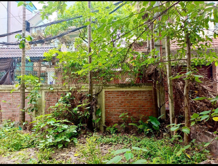 Bán Đất tặng nhà 2 tầng Ngọc Thuỵ- Oto Vỉa Hè- Hàng xómKhai Sơn – 103m2-16,5 tỷ( Thương lượng)