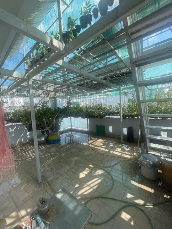 Bán nhà quận 10, đường Lê Hồng Phong, 100m2, 5 tầng, 12.9 tỷ