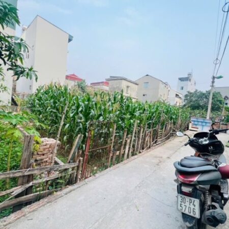 ???? BÁN ĐẤT PHƯỜNG PHÚC LỢI – LONG BIÊN ????