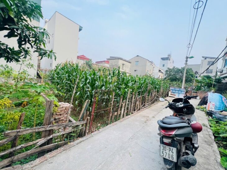 ???? BÁN ĐẤT PHƯỜNG PHÚC LỢI – LONG BIÊN ????