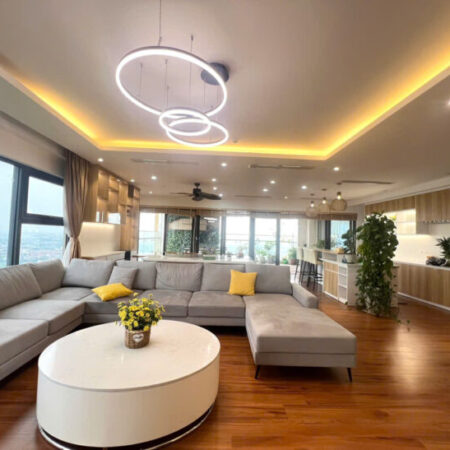 ???????????? Chính chủ cần bán căn hộ Ecopark 212m THANG MÁy RIÊNG lên tận nhà ???? Nhà thiết kế hoàn