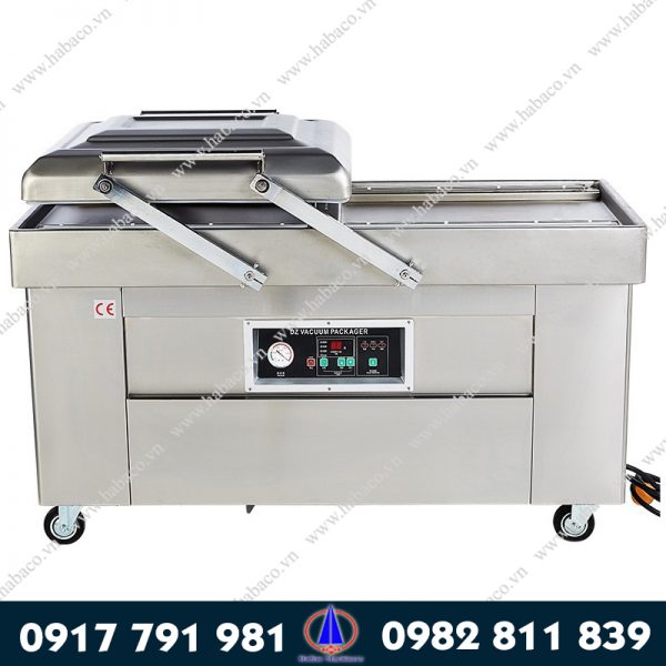 Máy đóng gói hút chân không DZQ 600 2 buồng