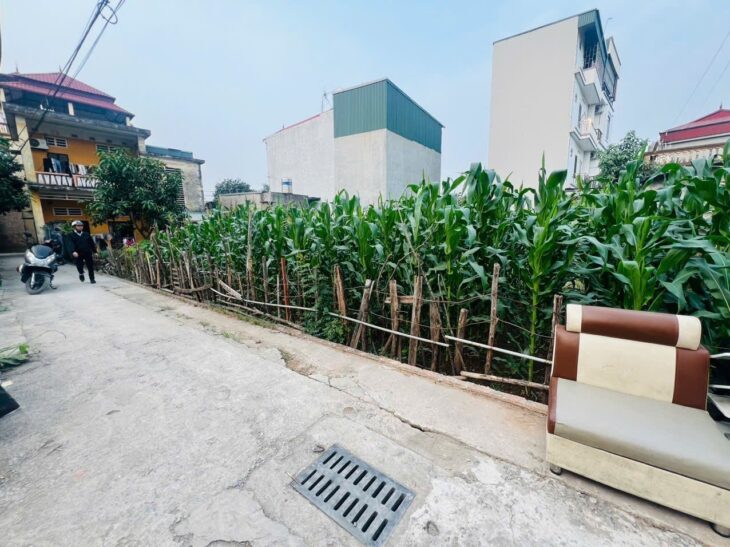 ???? BÁN ĐẤT PHƯỜNG PHÚC LỢI – LONG BIÊN ????