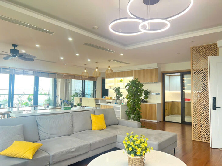 ???????????? Chính chủ cần bán căn hộ Ecopark 212m THANG MÁy RIÊNG lên tận nhà ???? Nhà thiết kế hoàn