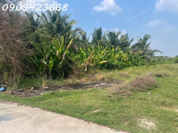 Đất Nền Đức Hòa Gần Vinhomes 197ha – 355m² Thổ Cư – Giá Rẻ Chính Chủ Bán Gấp