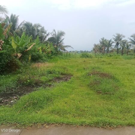 KẸT TIỀN BÁN GẤP LÔ ĐẤT ĐẸP 355M² FULL THỔ – ĐỨC LẬP THƯỢNG, ĐỨC HÒA, LONG AN