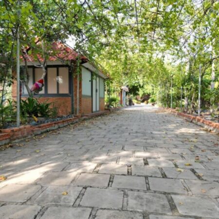 Cơ Hội Đầu Tư 10.000m2 đất Mặt Tiền Hưng Long, Bình Chánh Chỉ 80 Tỷ