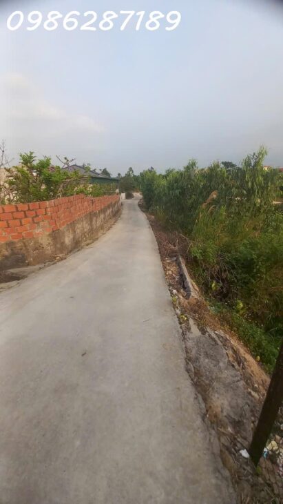 Chính chủ bán đất giá rẻ tại Thôn Phúc, Thị Xã Việt Vân, Đông Triều, Quảng Ninh