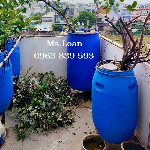 Thùng phuy 120lit đai nhựa trồng cây, đựng hóa chất / 0963 839 593 Ms.Loan
