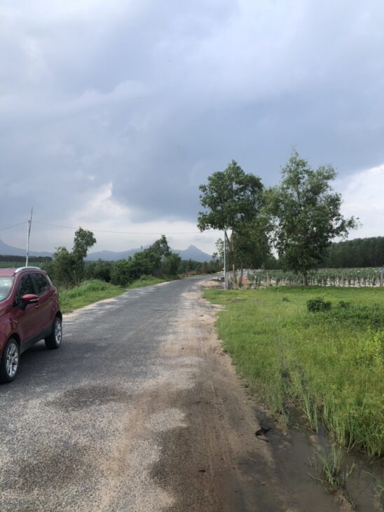 700K/m2 7.5 hecta mặt tiền Cù Chính Lan – Tân Bình – LaGi sổ hồng riêng