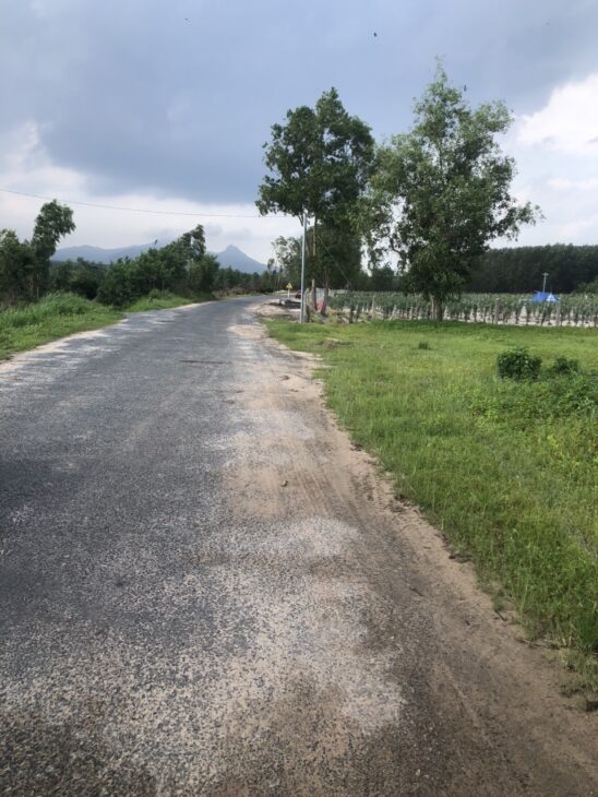 700K/m2 7.5 hecta mặt tiền Cù Chính Lan – Tân Bình – LaGi sổ hồng riêng