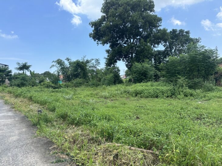 chỉ 480 triệu đất thổ cư 5m x 21m Tân Tiến – TX LaGi sổ hồng riêng