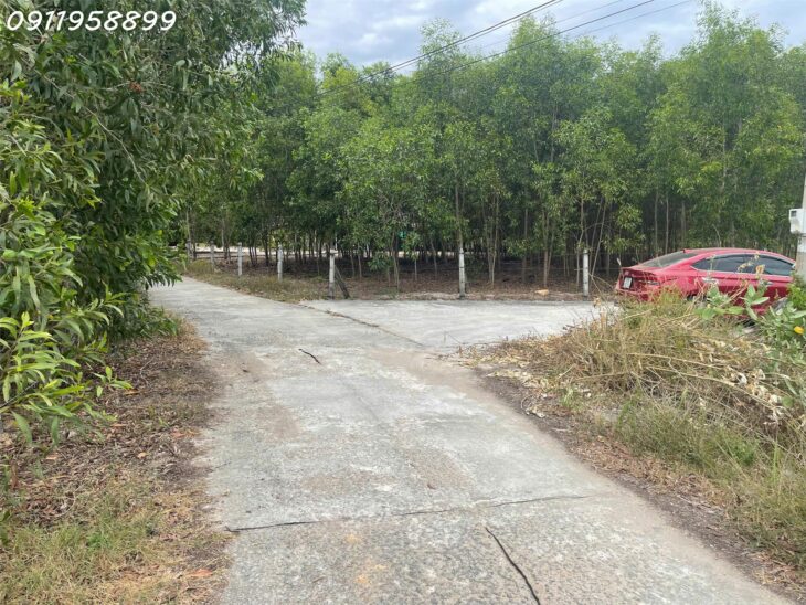 Bán 1912m2 đất ONT Tân Phước – TX LaGi cách Biển 500m chính chủ