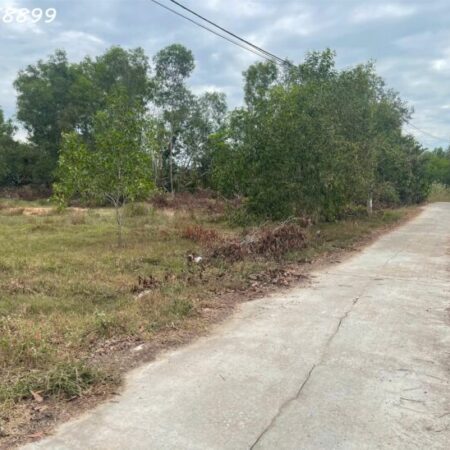 Bán 1912m2 đất ONT Tân Phước – TX LaGi cách Biển 500m chính chủ Bán 1912m2 đất ONT Tân Phước – TX LaGi cách Biển 500m chính chủ