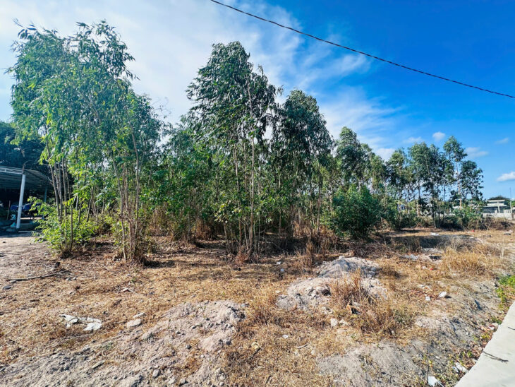 Chỉ 700 triệu sở hữu đất ONT 615m2 Tân Xuân – Hàm Tân bê tông 8m, sổ riêng