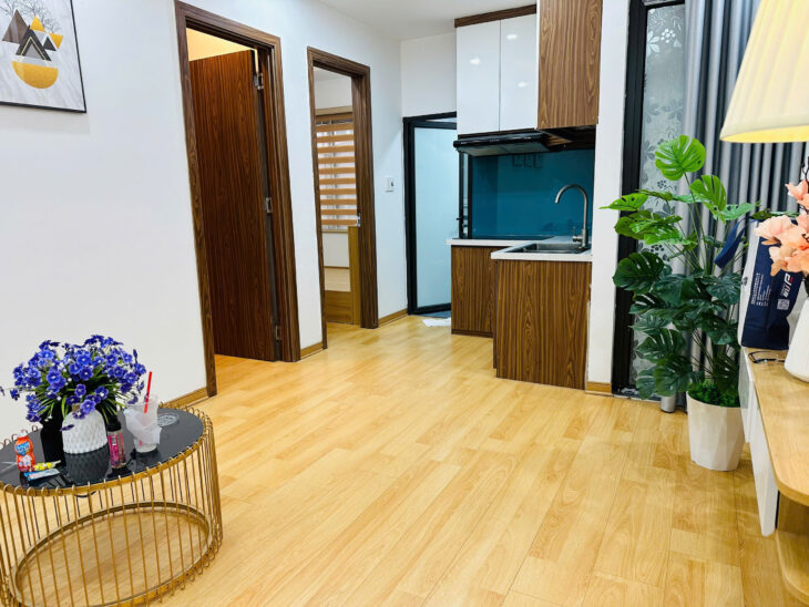 MÌNH CHÍNH CHỦ CHO THUÊ CĂN HỘ 2N1VS TẠI NGÕ 189 ĐƯỜNG HOÀNG HOA THÁM, P. LIỄU GIAI, Q. BA ĐÌNH, HÀ