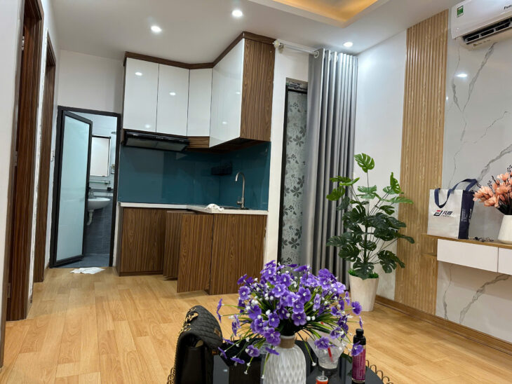 MÌNH CHÍNH CHỦ CHO THUÊ CĂN HỘ 2N1VS TẠI NGÕ 189 ĐƯỜNG HOÀNG HOA THÁM, P. LIỄU GIAI, Q. BA ĐÌNH, HÀ