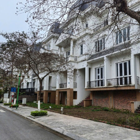 NV LIDECO 250m2- 5T, vị trí đẹp, không gian sáng tạo, 116 triệu/m