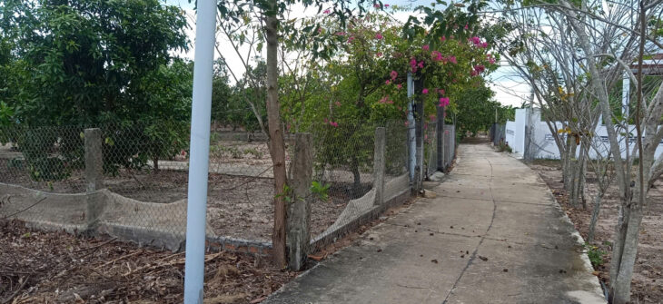 Bán 1176m2 đất ONT Tân Thắng – Huyện Hàm Tân giá ngộp chỉ 800 triệu