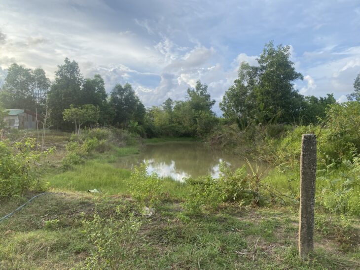 Bán nhà vườn 1600m2 Tân Thắng – Hàm Tân giá ngộp chỉ 1.6 tỷ