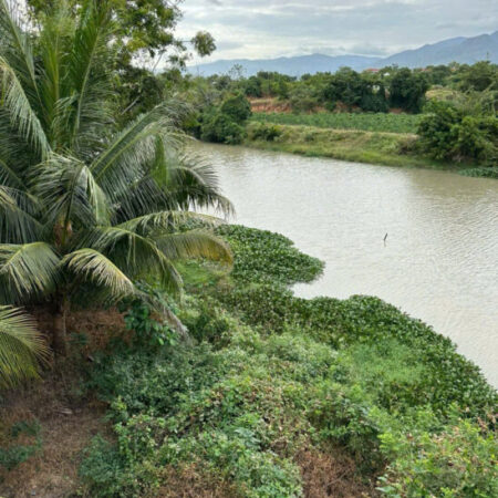 ???? 290 TRIỆU – BÁN GẤP 1.776M² ĐẤT NÔNG NGHIỆP – MẶT SÔNG, ĐƯỜNG Ô TÔ ĐẾN ĐẤT ???? ???? Vị trí: • Đất ???? 290 TRIỆU – BÁN GẤP 1.776M² ĐẤT NÔNG NGHIỆP – MẶT SÔNG, ĐƯỜNG Ô TÔ ĐẾN ĐẤT ???? ???? Vị trí: • Đất