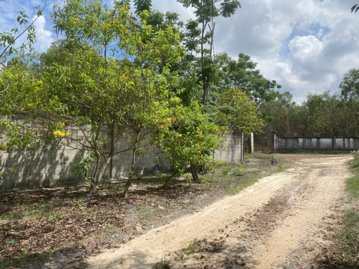 Bán 2282m2 đất Tân Phước – TX LaGi giá ngộp sổ hồng riêng