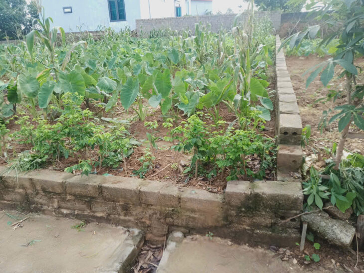 Đất Tuy Lai, Mỹ Đức, Hà Nội, 90m2 full thổ, đường thông