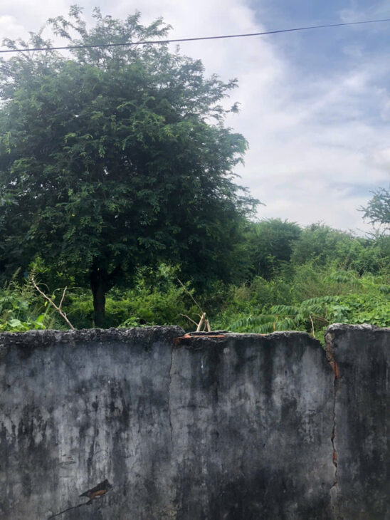 Bán 5m x 43m hẻm Nguyễn Chí Thanh – Tân Bình – TX LaGi 950 triệu