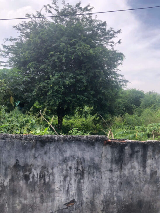 Bán 5m x 43m hẻm Nguyễn Chí Thanh – Tân Bình – TX LaGi 950 triệu