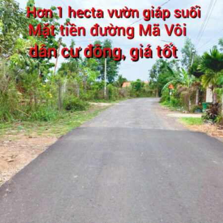 Hơn 1 Hecta đất vườn giáp suối tại mặt tiền đường Mã Vôi giá 700 triệu / sào