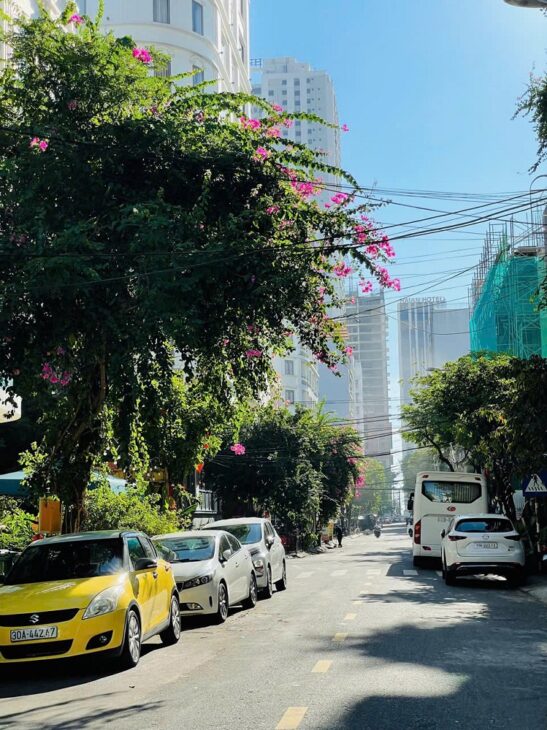 BÁN LÔ GÓC PHAN TÔN CỰC ĐẸP, KHU PHỐ TÂY AN THƯỢNG. LH 0905233234